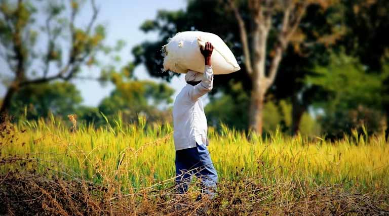 Union Budget 2026–27: FAI Calls for Targeted Reforms to Strengthen India’s Fertiliser Security