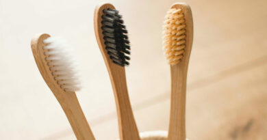 How the Bamboo Brush Became a Symbol of Sustainability