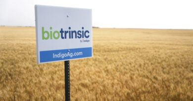 Pivot bio, Indigo Ag, AgriThority Lead the Charge on Biologicals Research