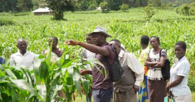 Why Farmers Join Agribusiness Clusters Why Farmers Join Agribusiness Clusters