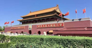 China Has Moved to Brand-Led Agriculture in 2026. What Should India Do?