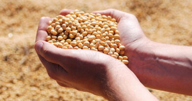 Argentina Soybean Estimate Lowered 1.0 mt to 48.0 Million Argentina Soybean Estimate Lowered 1.0 mt to 48.0 Million