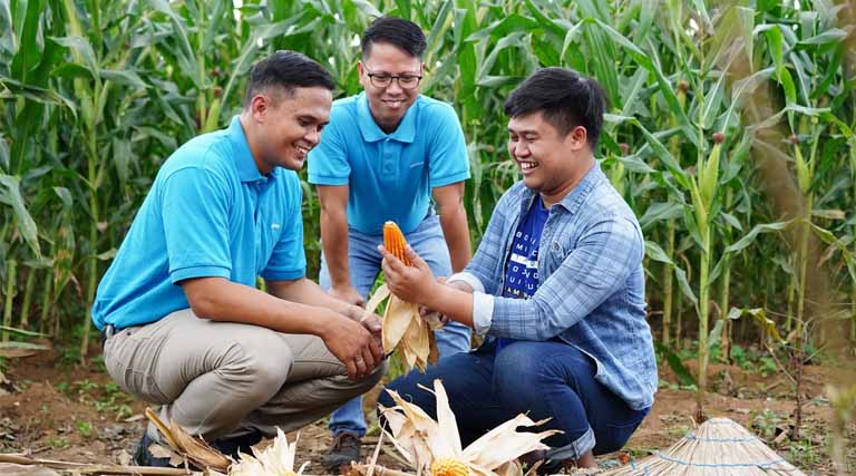 Why Regional Integration Is Critical to Asia’s Food Security