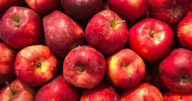 European Apples Found Contaminated with Multiple Pesticide Residues: PAN Europe Study