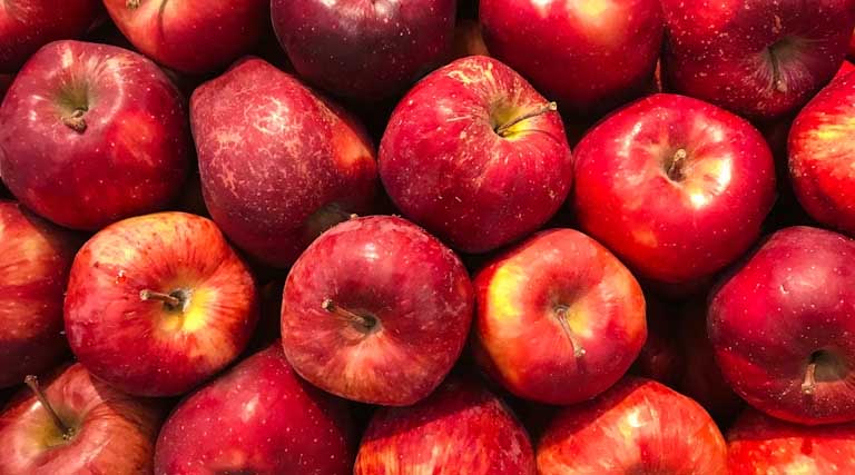 European Apples Found Contaminated with Multiple Pesticide Residues: PAN Europe Study