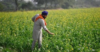 Grant to Expand Self-Cloning Crop Technology for Indian Farmers Grant to Expand Self-Cloning Crop Technology for Indian Farmers