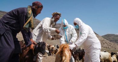 Afghanistan: FAO and Asian Development Bank Advance $100 Million Initiative To Boost Food Security And Resilience