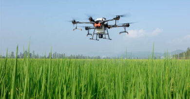 Everything You Need to Know About India’s Pesticides Management Bill, 2025 Everything You Need to Know About India’s Pesticides Management Bill, 2025