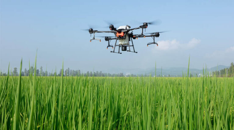 Everything You Need to Know About India’s Pesticides Management Bill, 2025