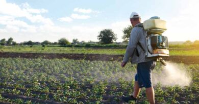 Farmworker, Farmer, and Community Protection Groups Bring EPA to Court to Stop New PFAS Pesticide Approval