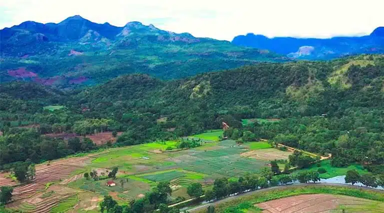 Why Safeguarding The Knuckles Mountains Is Critical For Sri Lanka