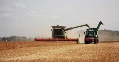 US Announces $12 Billion Farmer Bridge Payments to Offset Trade Disruptions and High Input Costs US Announces $12 Billion Farmer Bridge Payments to Offset Trade Disruptions and High Input Costs