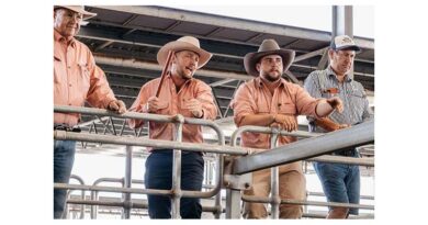 Victoria And Riverina Livestock Sales Season Set For Strong Start Victoria And Riverina Livestock Sales Season Set For Strong Start