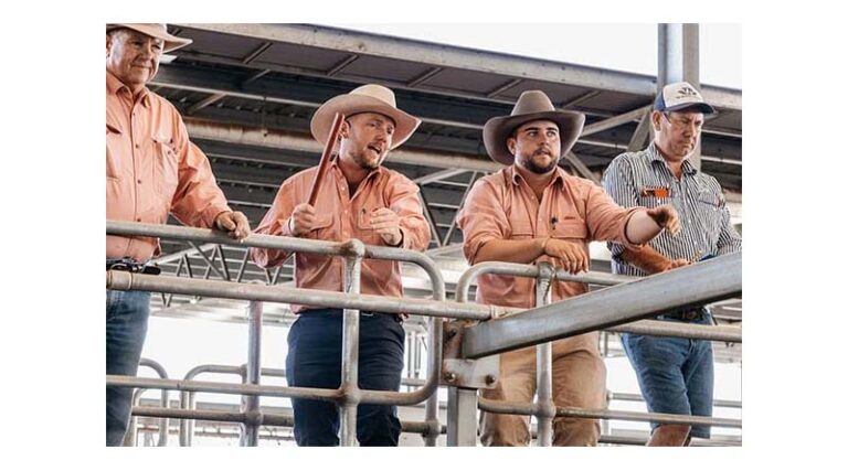 Victoria And Riverina Livestock Sales Season Set For Strong Start