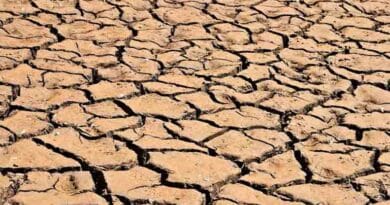 Seipasa Awarded Ivace+i Grant For Its Participation In The Micropbiome Drought-resilience Research Project