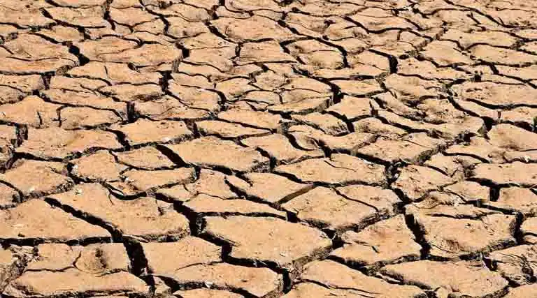 Seipasa Awarded Ivace+i Grant For Its Participation In The Micropbiome Drought-resilience Research Project