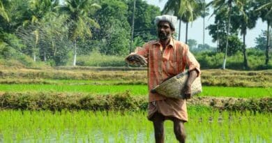 India Meets 73% of Fertiliser Demand Domestically in 2025 as Output Reaches 524.62 Lakh Tonnes India Meets 73% of Fertiliser Demand Domestically in 2025 as Output Reaches 524.62 Lakh Tonnes