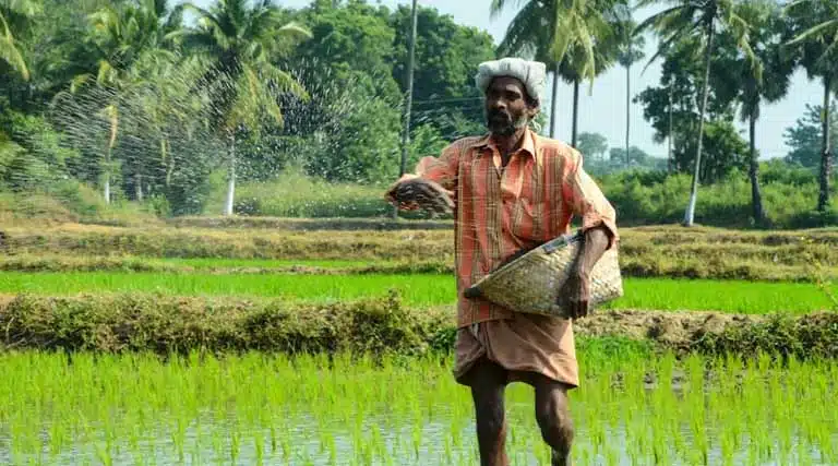 India Meets 73% of Fertiliser Demand Domestically in 2025 as Output Reaches 524.62 Lakh Tonnes