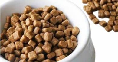 China MARA Announcement No. 983: 189 Imported Feed and Feed Additive Products Approved in 2026