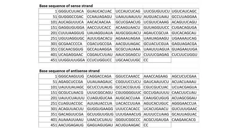 Tomovircona Gets Provisional ISO Approval as RNAi Virucide for Tobacco Mosaic Virus Control