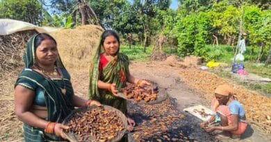 Smoked Fish, Stronger Futures - How Indigenous Women in Mandla Are Safeguarding Livelihoods and Nutrition
