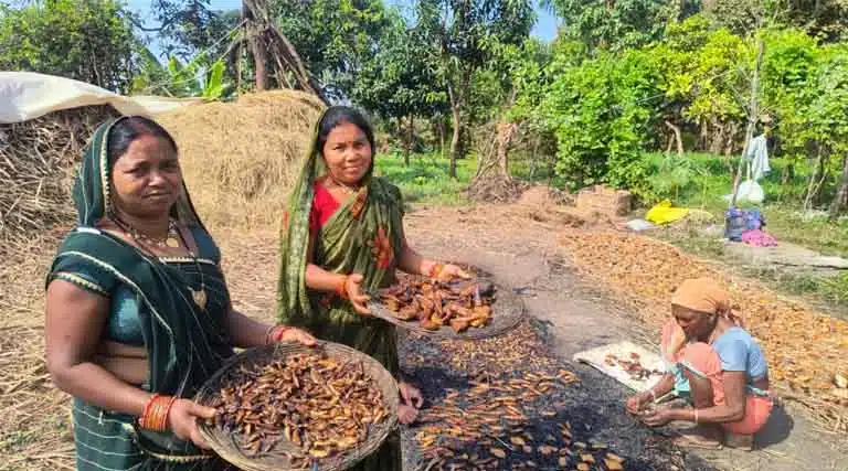 Smoked Fish, Stronger Futures - How Indigenous Women in Mandla Are Safeguarding Livelihoods and Nutrition