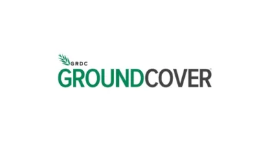 Grains Research Updates 2026: Celebrating Three Decades Of Research Insights For The North Grains Research Updates 2026: Celebrating Three Decades Of Research Insights For The North