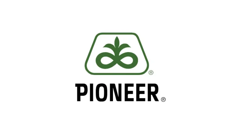 Sorghum Producers Sweep Yield Contest Divisions Planting Pioneer® Brand Hybrids