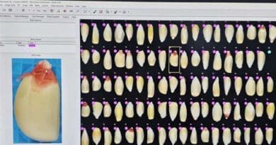Crop Trust Leverages Google.org Support For Digital Innovation In Food Security Crop Trust Leverages Google.org Support For Digital Innovation In Food Security