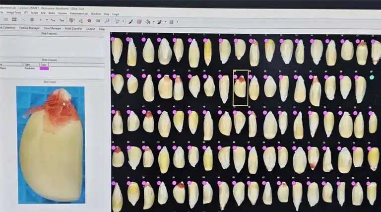 Crop Trust Leverages Google.org Support For Digital Innovation In Food Security