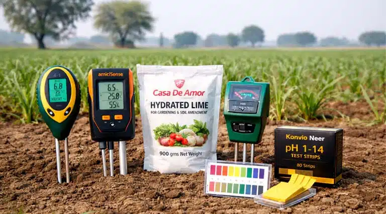 5 Unique Products Farmers Can Use in India to Improve Soil Health