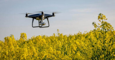 Understanding How Artificial Intelligence Actually Functions in Farming Systems Understanding How Artificial Intelligence Actually Functions in Farming Systems