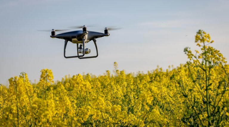Understanding How Artificial Intelligence Actually Functions in Farming Systems