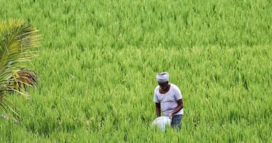 Summer Sowing in India Gains Momentum; Area Coverage Reaches 21.30 Lakh Hectare as on February 20