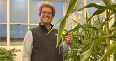 Seed2Grow Spotlight: Elysia Creative Biology’s Eli Hornstein Seed2Grow Spotlight: Elysia Creative Biology’s Eli Hornstein