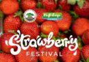 Meghalaya Strawberry Festival 2026 to Showcase 1,200 MT Production Across Smit, Sohliya and Tura Clusters Meghalaya Strawberry Festival 2026 to Showcase 1,200 MT Production Across Smit, Sohliya and Tura Clusters