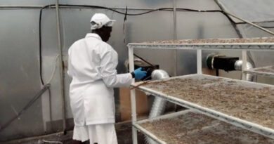 Strengthening Women-Led Fish Value Addition Enterprises in Western Kenya