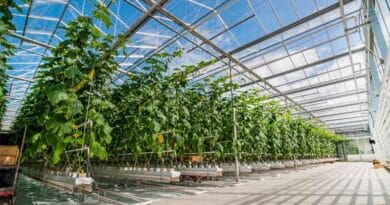 Albotherm, CPI lead £2 million collaborative project to scale low-emissions greenhouse technology for UK growers