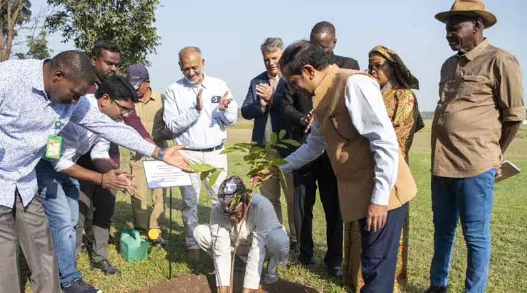 ICRISAT–Niger Partnership Sets New Benchmark for Resilient Agriculture in Africa’s Drylands