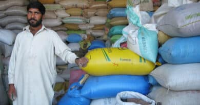 Pulses: An Original Climate Solution Rediscovered By A New Generation