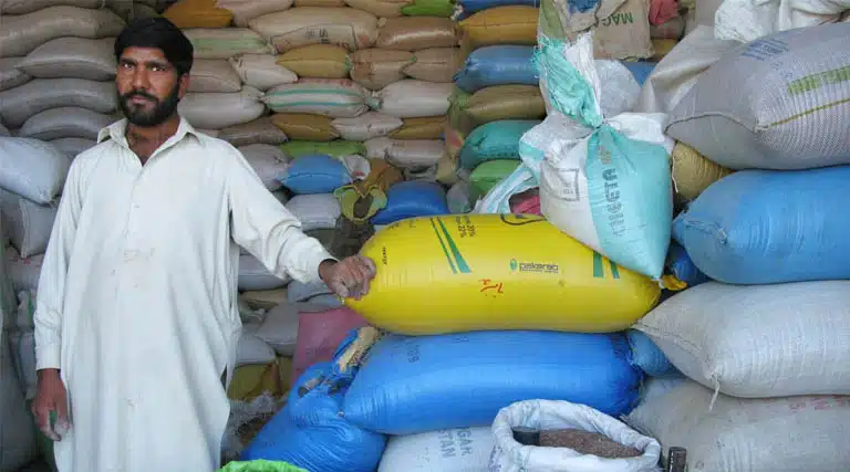 Pulses: An Original Climate Solution Rediscovered By A New Generation