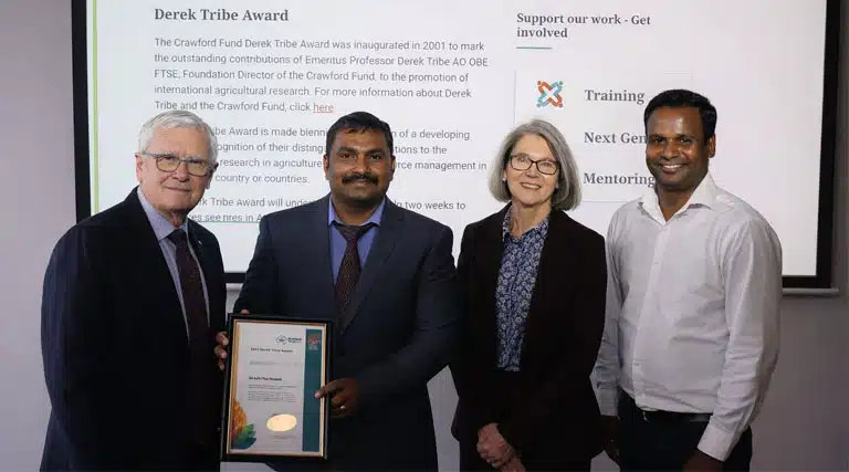 Wheat for the World: CIMMYT Scientist Honored as Global Research Delivers Local Impact