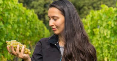 The Science Of Grapes