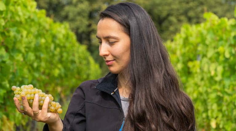 The Science Of Grapes