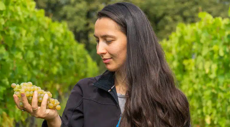 The Science Of Grapes