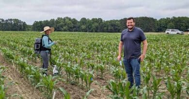 Enhanced Efficiency Fertilizer Can Cut Emissions, But Soil Type Matters