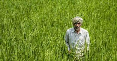 PM-KISAN: Over 30 Lakh Farmers Pending Aadhaar–Bank Seeding Across India