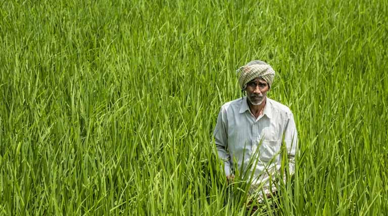 PM-KISAN: Over 30 Lakh Farmers Pending Aadhaar–Bank Seeding Across India