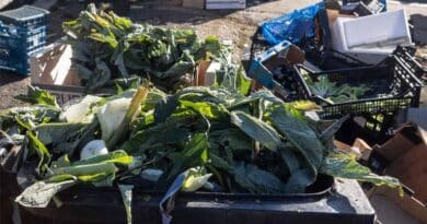 FAO Experts Assess Risk Of Antimicrobial Resistance Spreading Via Food Loss And Waste