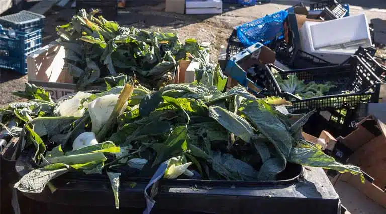 FAO Experts Assess Risk Of Antimicrobial Resistance Spreading Via Food Loss And Waste